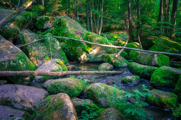 Hermosa Cascada Bosque — Foto de Stock