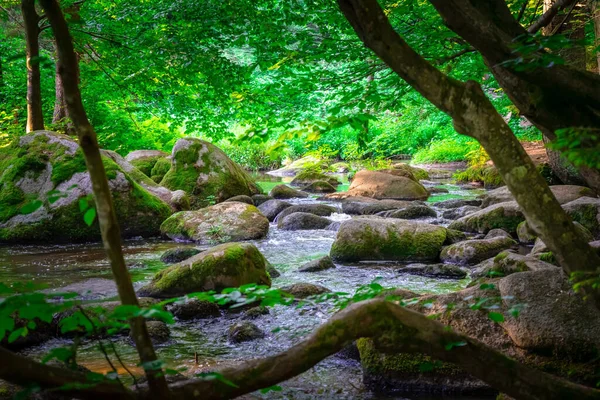 Bela Cachoeira Floresta — Fotografia de Stock