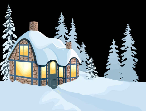 Illustrazione Vettoriale Bellissimo Paesaggio Invernale Con Una Casa — Foto Stock
