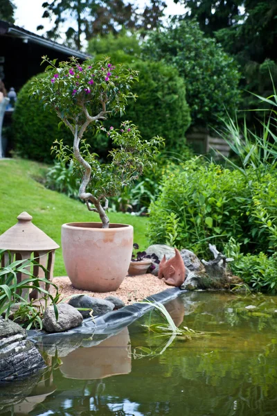 Laghetto Giardino Giardino Laghetto Decorazione Estate Piante Ricreazione Relax — Foto Stock