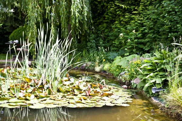 Garden Pond Garden Pond Decoration Summer Plants Recreation Relaxation — Stock Photo, Image