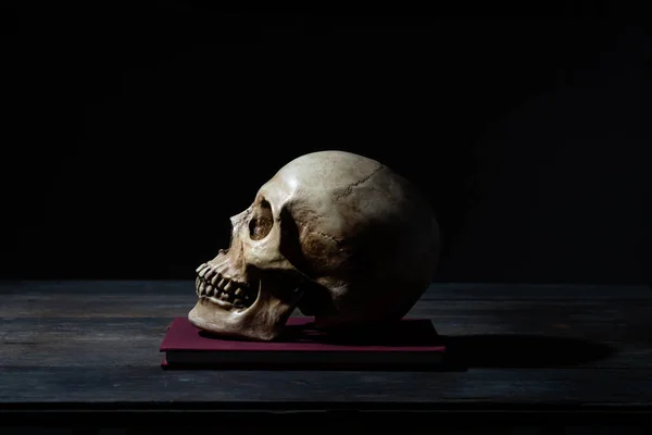 Uzun Zamandır Ölü Olan Insan Kafatası Korku Konsepti Korku Filmi — Stok fotoğraf