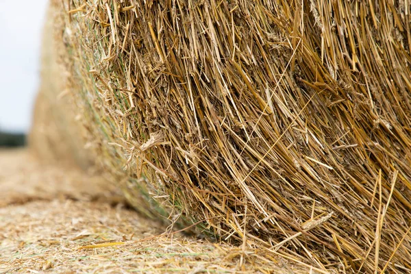 Strohballen Auf Einem Feld — Stockfoto