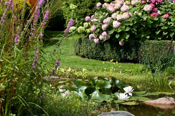 Lagoa Jardim Jardim Lagoa Decorar Verão Plantas Verde Flores — Fotografia de Stock