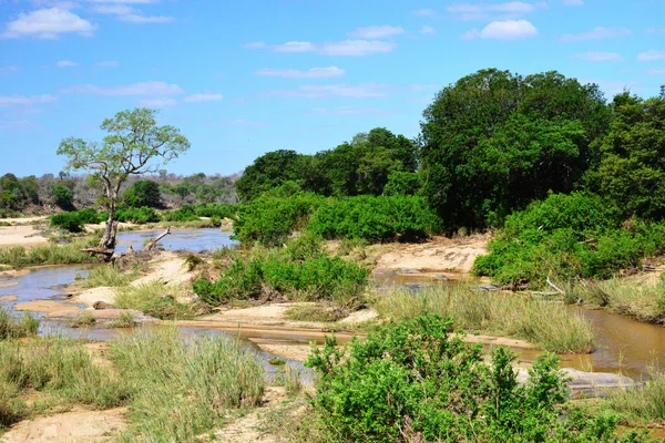 Paisaje Del Parque Nacional Kruger Sudáfrica Parque Kruger Encuentra Piso —  Fotos de Stock