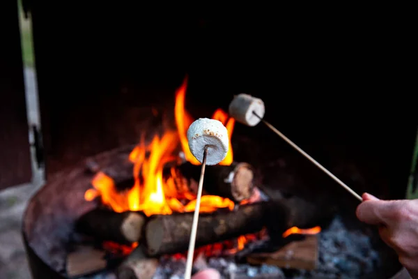 人们在篝火边烤火 在篝火边烤棉花糖 以增加打喷嚏或小吃的机会 — 图库照片