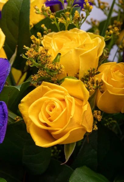 Красивый Цветочный Букет Голубых Ирисов Желтых Роз — стоковое фото