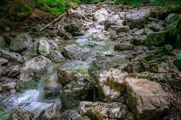 Wanderung Den Lainbach Wasserfällen Bei Kochel See Bayern Deutschland — Stockfoto
