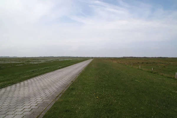 Caminho Ciclo Langeoog — Fotografia de Stock