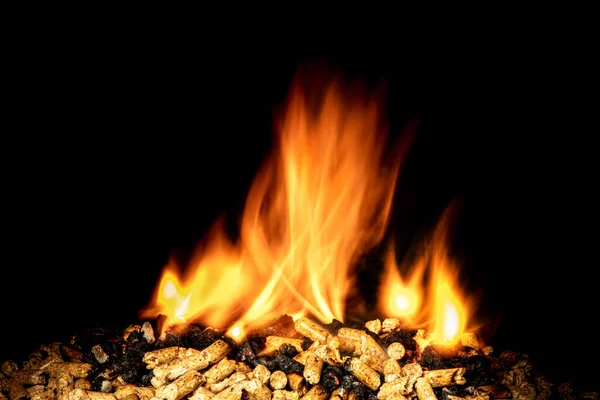 Holzpellets Brennen Mit Flammen Auf Schwarz Ökologischer Und Natürlicher Brennstoff — Stockfoto