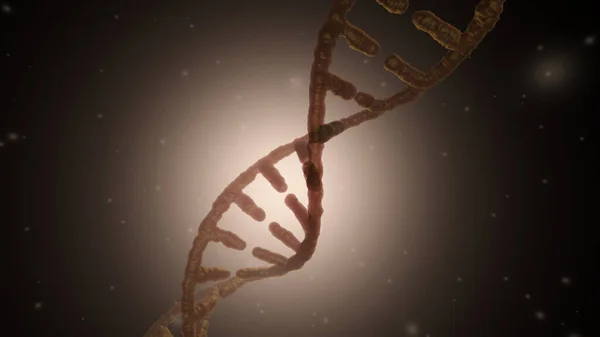 Molécula Dna Estrutura Genética Bioquímica Genética Ciência Medicina Saúde Médica — Fotografia de Stock
