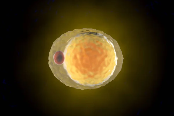 바이러스 세포의 — 스톡 사진