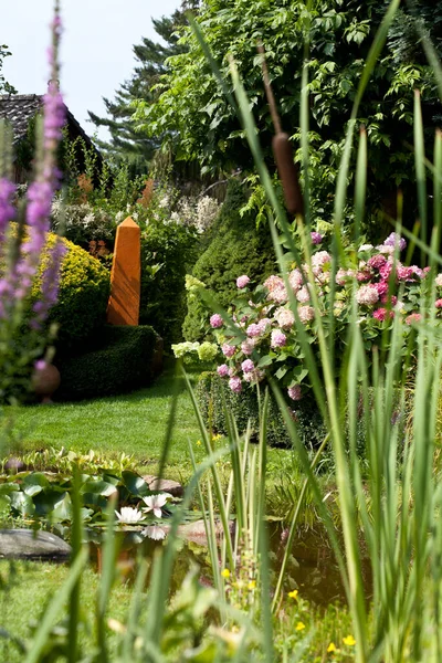 Vackra Blommor Trädgården — Stockfoto