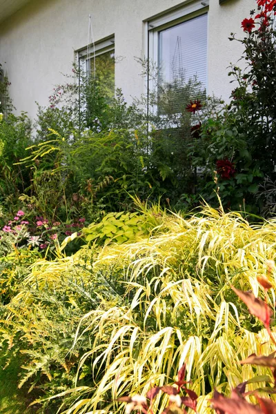 Jardim Grama Casa Jardim Verão Recreação Relaxamento Decorar Plantas — Fotografia de Stock