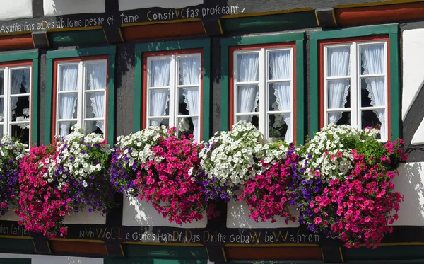 Halvt Træhus Med Petunia Blomster Blomsterkasser Arnsberg Ved Ruhr Floden - Stock-foto