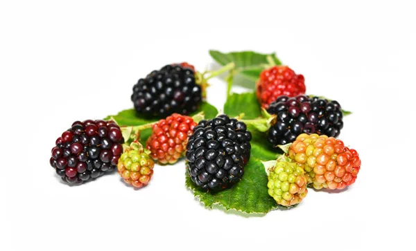 Frambuesas Moras Frescas Maduras Sobre Fondo Blanco — Foto de Stock