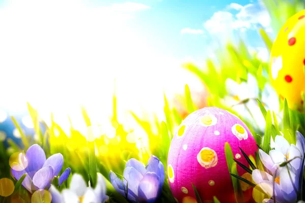 Colorful Easter Eggs Decorated Flowers Grass Blue Sky Background — Stock Photo, Image