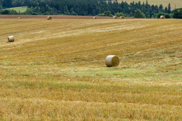 Szalmabálák Mezőn — Stock Fotó