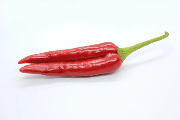 Rote Scharfe Chilischote Isoliert Auf Weißem Hintergrund — Stockfoto