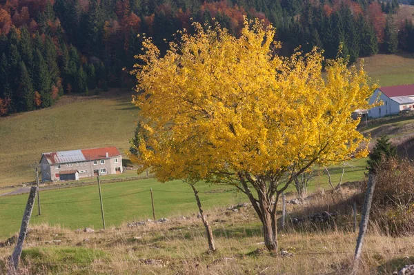 Podzimní Krajina Dřevěným Domem Horách — Stock fotografie