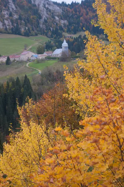 Prachtig Herfstlandschap Met Bomen Groene Bladeren — Stockfoto