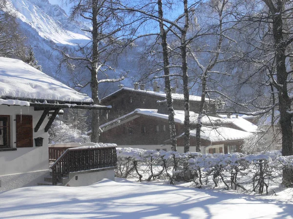 Beau Paysage Hivernal Avec Des Arbres Enneigés — Photo