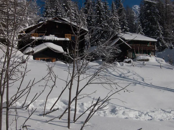 Hermoso Paisaje Invierno Con Árboles Cubiertos Nieve —  Fotos de Stock