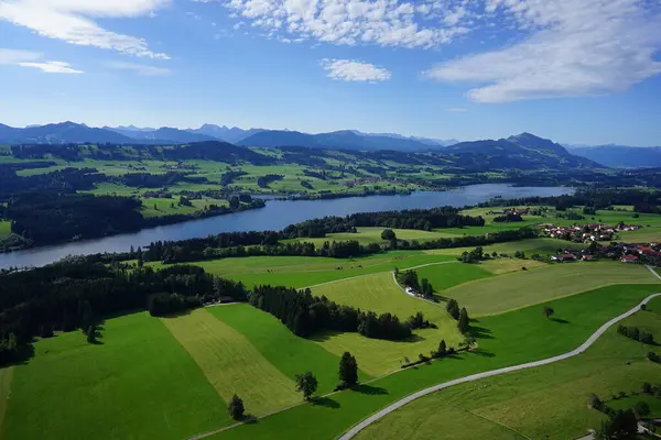 Bellissimo Paesaggio Con Prato Verde — Foto Stock