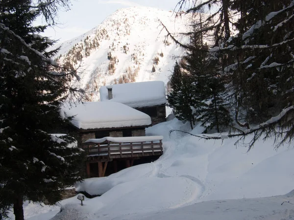 Beau Paysage Hivernal Avec Des Arbres Enneigés — Photo