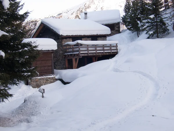 Paysage Hivernal Avec Arbres Enneigés — Photo