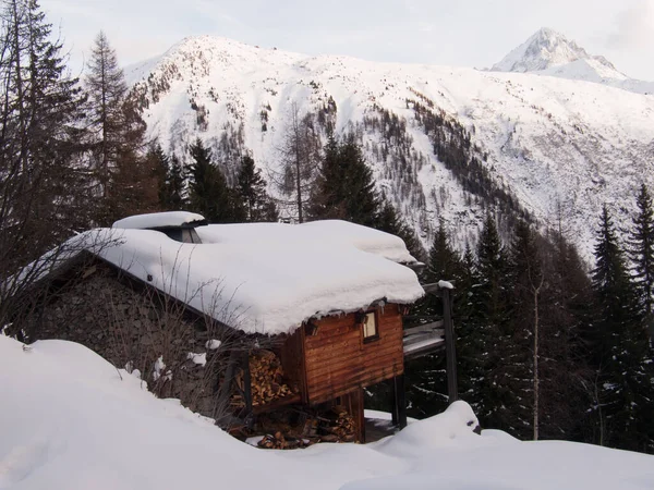 Paisaje Invernal Con Árboles Cubiertos Nieve —  Fotos de Stock