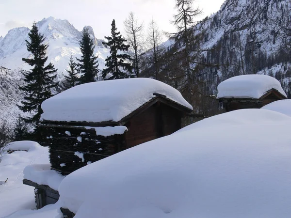 Paisaje Invernal Con Árboles Cubiertos Nieve —  Fotos de Stock