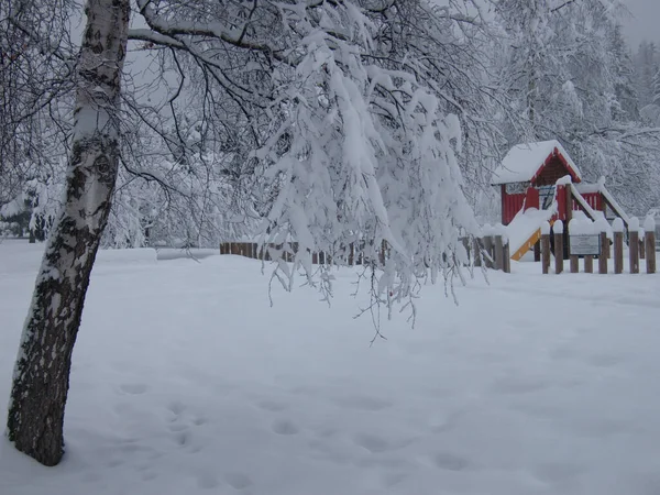 Piękny Zimowy Krajobraz Pokrytymi Śniegiem Drzewami — Zdjęcie stockowe