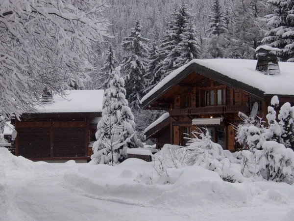 Winterlandschaft Mit Schneebedeckten Bäumen — Stockfoto