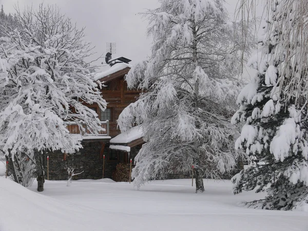 Wunderschöne Winterlandschaft Mit Schneebedeckten Bäumen — Stockfoto