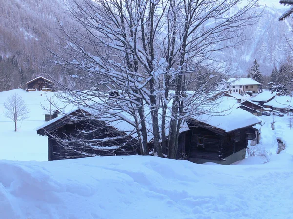 美丽的冬季风景 冰雪覆盖的树木 — 图库照片