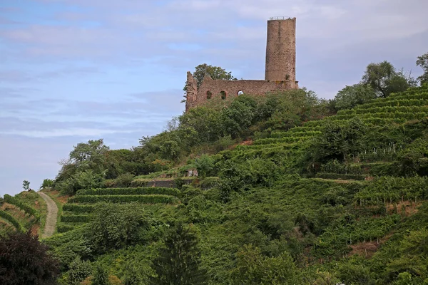 Vista Panorámica Hermosa Arquitectura Medieval — Foto de Stock