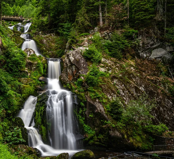 Cascata Nella Foresta — Foto Stock