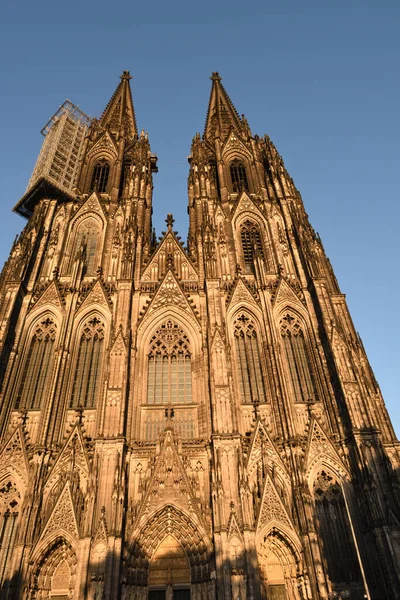 Kathedraal Van Keulen Een Katholieke Kathedraal Keulen Noordrijn Westfalen Het — Stockfoto