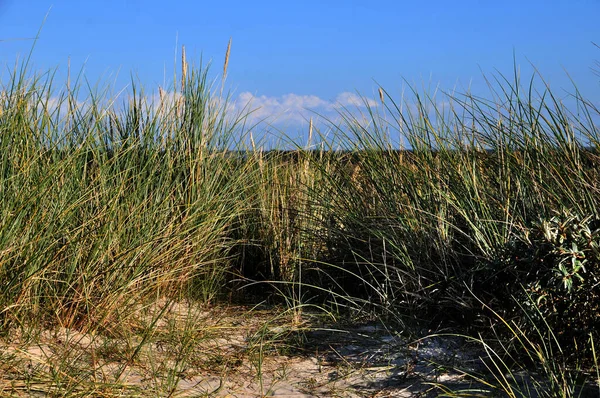 Beautiful View Sea Beach — Stock Photo, Image