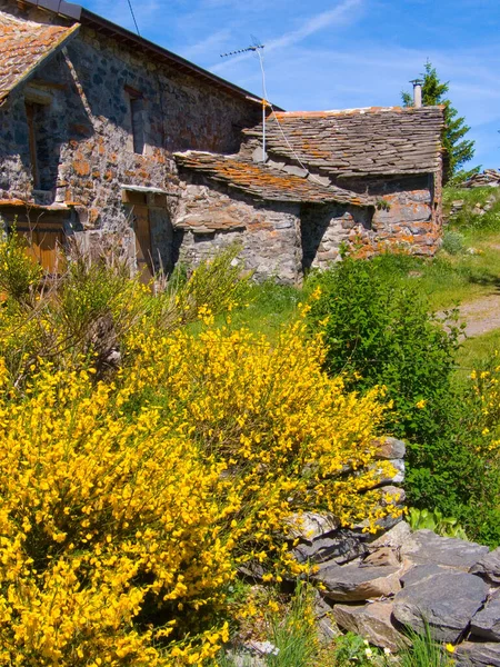 Köydeki Eski Taş — Stok fotoğraf