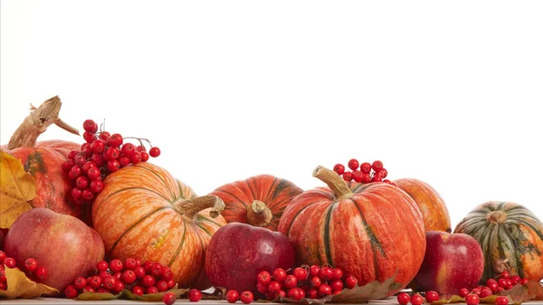 Εορταστική Φθινόπωρο Νεκρή Φύση Κολοκύθες Κόκκινα Μήλα Μούρα Και Φύλλα — Φωτογραφία Αρχείου