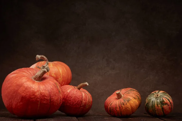 コピースペースと茶色の背景に暗い木製の表面にカボチャとお祭りの秋の静物画 秋の収穫 幸せな感謝祭またはハロウィーンの概念 — ストック写真