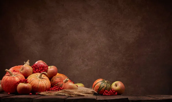 Праздничный Осенний Натюрморт Тыквами Яблоками Красными Ягодами Ржаными Ушами Темной — стоковое фото