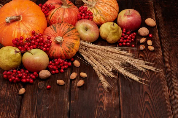 Festive Autumn Still Life Pumpkins Apples Red Berries Nuts Rye — Stock Photo, Image