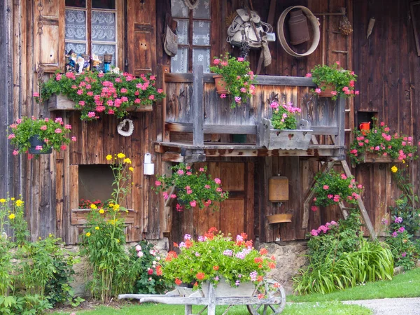 Παλιό Ξύλινο Σπίτι Λουλούδια Και Φυτά — Φωτογραφία Αρχείου