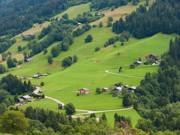 Vackert Landskap Med Grön Äng Och Blå Himmel — Stockfoto