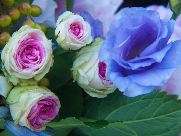 Bel Mazzo Rose Vaso — Foto Stock