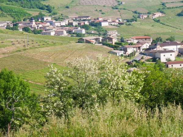 Vackert Landskap Toscana Byn Toscana Italy Stockbild
