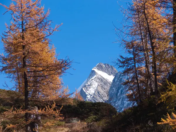 Vacker Utsikt Över Bergen — Stockfoto